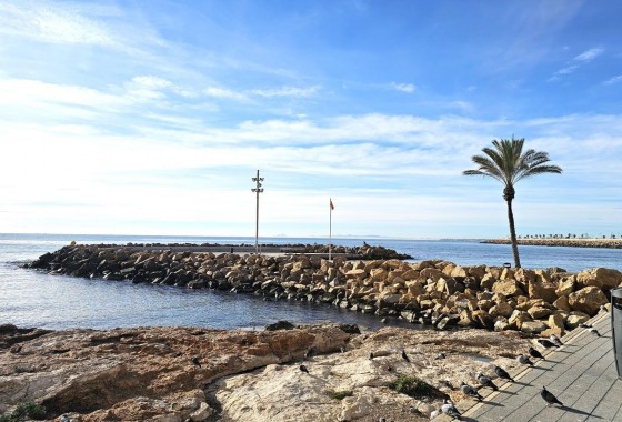 Apartamento - Segunda Mano - Torrevieja - Paseo maritimo