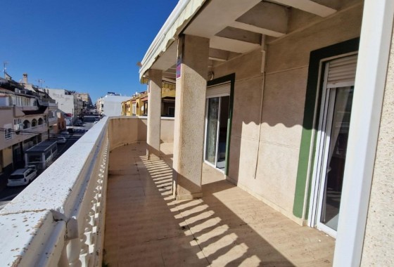 Apartamento - Segunda Mano - Torrevieja - Playa de los Locos