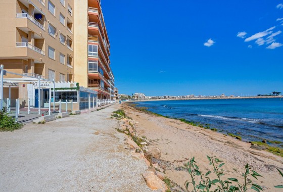 Apartamento - Segunda Mano - Torrevieja - Playa de los Naufragos