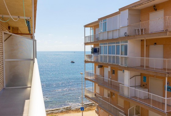 Apartamento - Segunda Mano - Torrevieja - Playa de los Naufragos