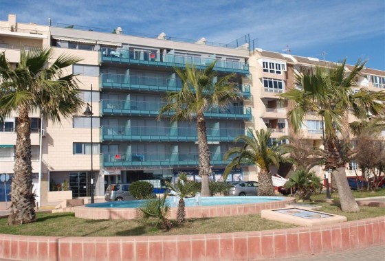 Apartamento - Segunda Mano - Torrevieja - Playa del Cura