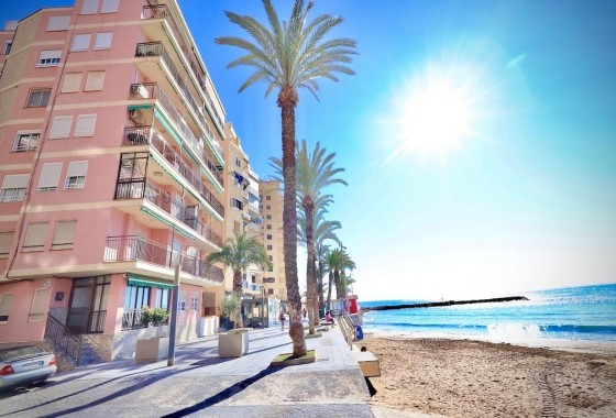 Apartamento - Segunda Mano - Torrevieja - Playa del cura