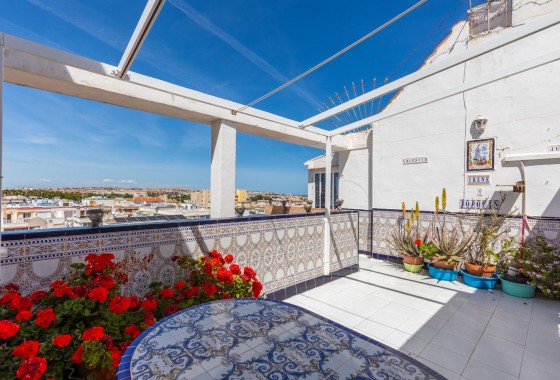 Apartamento - Segunda Mano - Torrevieja - Playa del cura