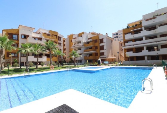 Apartamento - Segunda Mano - Torrevieja - Punta prima