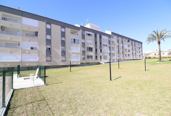 Apartamento - Segunda Mano - Torrevieja - Punta prima