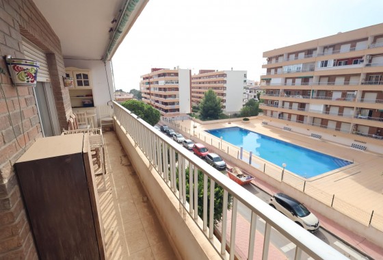 Apartamento - Segunda Mano - Torrevieja - Punta prima