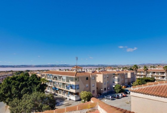 Apartamento - Segunda Mano - Torrevieja - Torretas