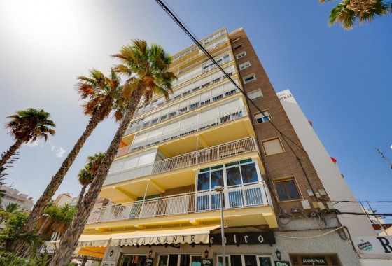 Apartamento - Segunda Mano - Torrevieja - Torrevieja