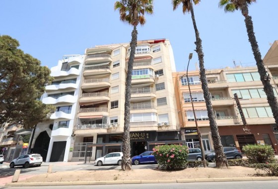 Apartamento - Segunda Mano - Torrevieja - Torrevieja