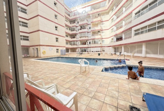 Apartamento - Segunda Mano - Torrevieja - Torrevieja