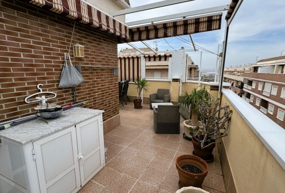 Apartamento - Segunda Mano - Torrevieja - Torrevieja