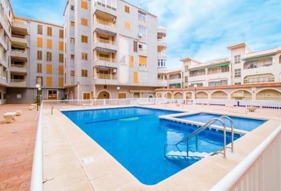 Apartamento - Segunda Mano - Torrevieja - torrevieja