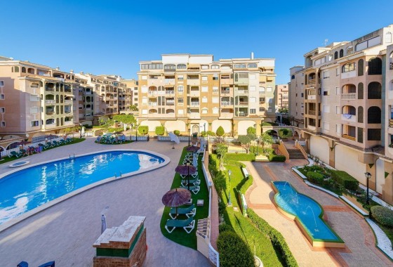 Apartamento - Segunda Mano - Torrevieja - torrevieja