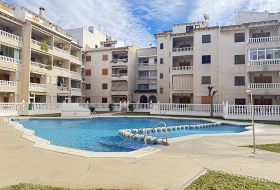 Apartamento - Segunda Mano - Torrevieja - Torrevieja