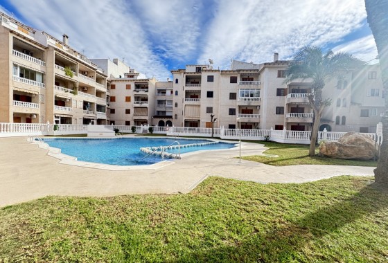 Apartamento - Segunda Mano - Torrevieja - Torrevieja