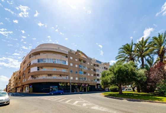 Apartamento - Segunda Mano - Torrevieja - torrevieja