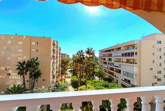 Apartamento - Segunda Mano - Torrevieja - Torrevieja