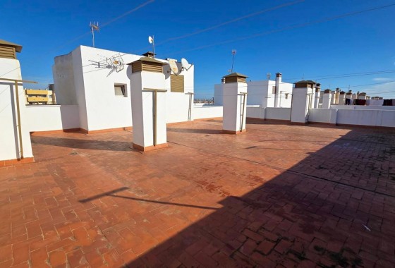 Apartamento - Segunda Mano - Torrevieja - torrevieja