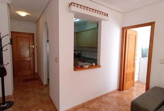 Apartamento - Segunda Mano - Torrevieja - torrevieja