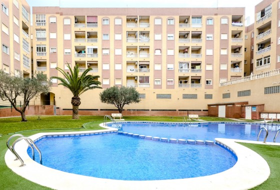 Apartamento - Segunda Mano - Torrevieja - Torrevieja