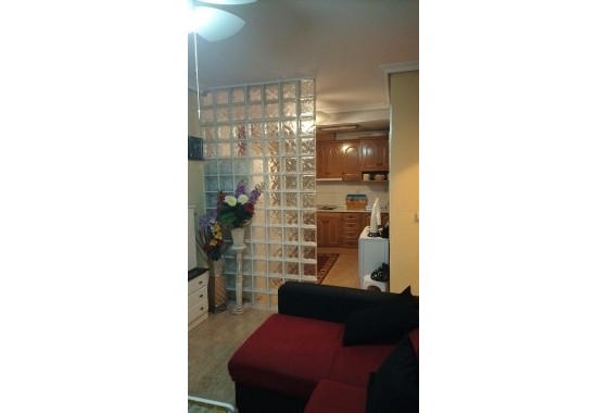 Apartamento - Segunda Mano - Torrevieja - torrevieja