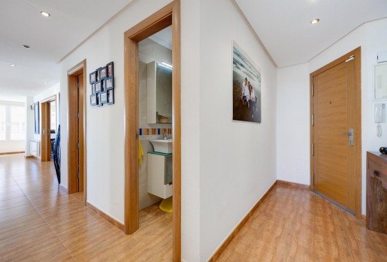 Apartamento - Segunda Mano - Torrevieja - torrevieja