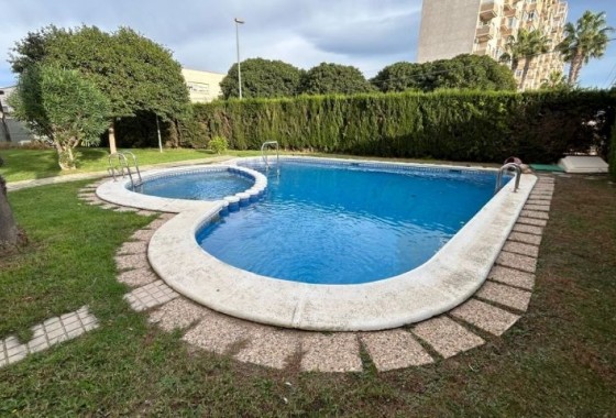 Apartamento - Segunda Mano - Torrevieja - Torrevieja