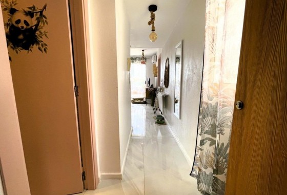 Apartamento - Segunda Mano - Torrevieja - torrevieja