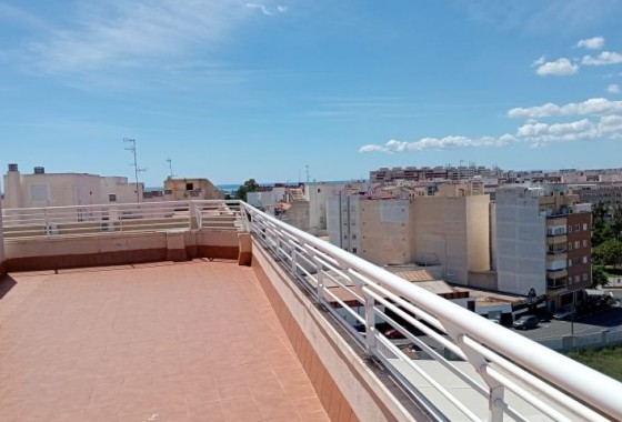Apartamento - Segunda Mano - Torrevieja - Torrevieja