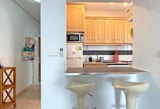 Apartamento - Segunda Mano - Torrevieja - Torrevieja
