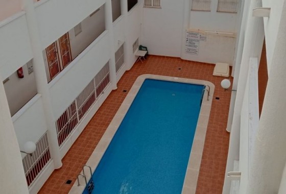 Apartamento - Segunda Mano - Torrevieja - Torrevieja