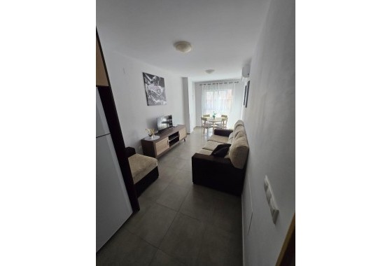 Apartamento - Segunda Mano - Torrevieja - torrevieja