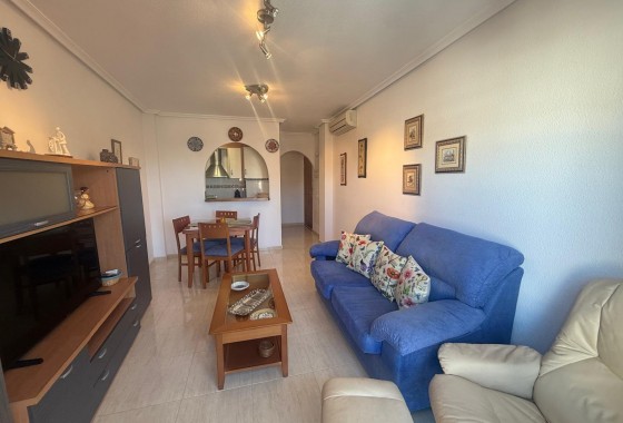 Apartamento - Segunda Mano - Torrevieja - torrevieja