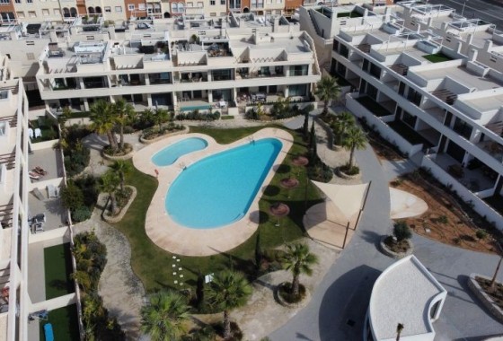 Apartamento - Segunda Mano - Torrevieja - Torrevieja