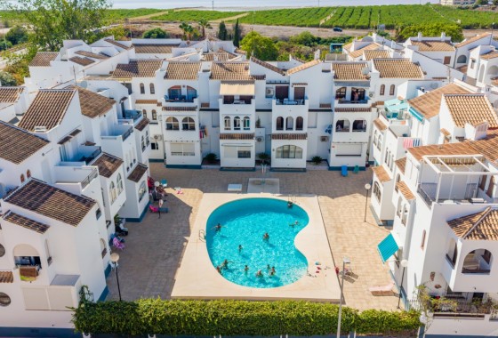 Apartamento - Segunda Mano - Torrevieja - Torrevieja