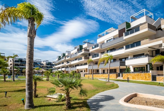 Apartamento - Segunda Mano - TORREVIEJA - Torrevieja