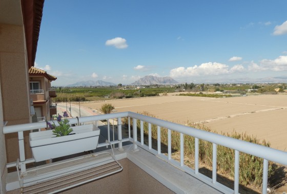 Apartment - Resale - Algorfa - Algorfa