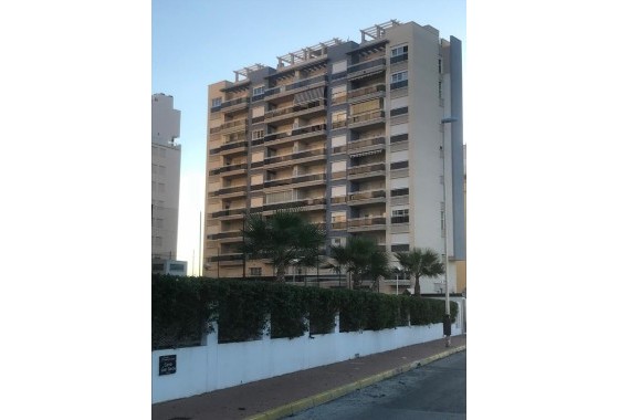 Apartment - Resale - Guardamar del Segura - 123O-31905