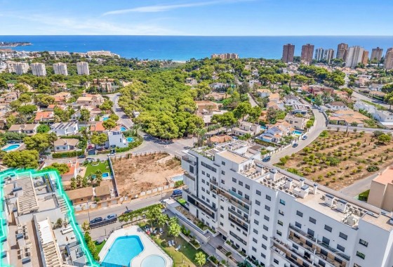 Apartment - Resale - Orihuela Costa - Campoamor