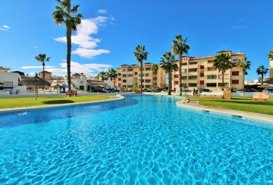 Apartment - Resale - Playa Flamenca - Playa Flamenca