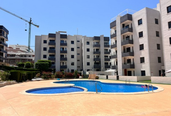 Apartment - Resale - San Miguel de Salinas - San Miguel Salinas