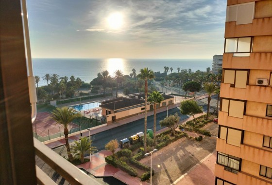 Apartment - Resale - Torrevieja - Cabo cervera