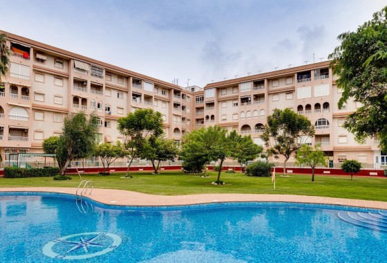 Apartment - Resale - Torrevieja - Centro