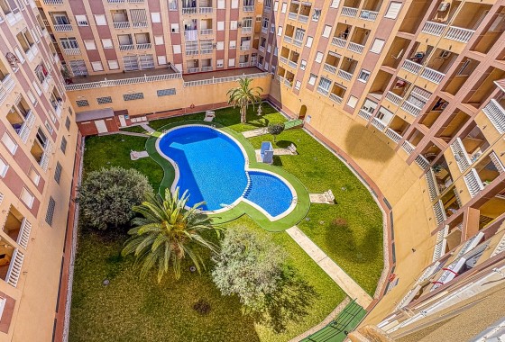 Apartment - Resale - TORREVIEJA - Parque de las Naciones