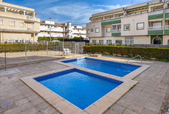 Apartment - Short Term Rental - Torrevieja - Torrevieja