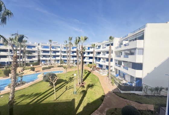 Appartement - Revente - Playa Flamenca - Playa Flamenca
