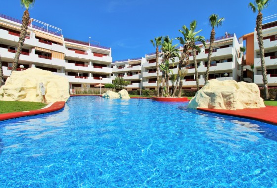 Appartement - Revente - Playa Flamenca - Playa Flamenca