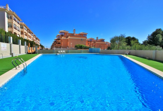 Appartement - Revente - Playa Flamenca - Playa Flamenca