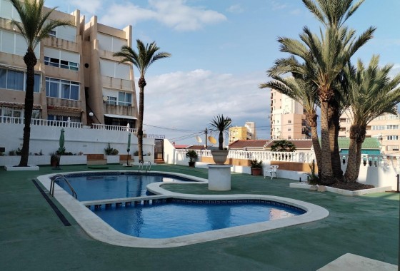 Ático - Segunda Mano - Torrevieja - Torreblanca