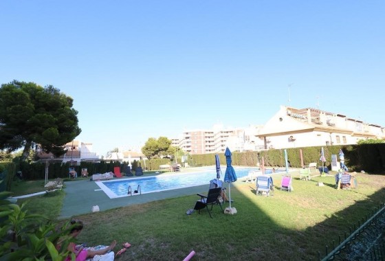 Commerce - Revente - Orihuela Costa - 123Y-34625